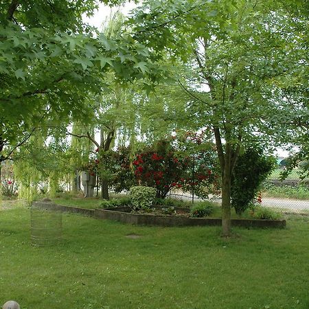Rose Rosse Bed & Breakfast Cadi David Exterior foto