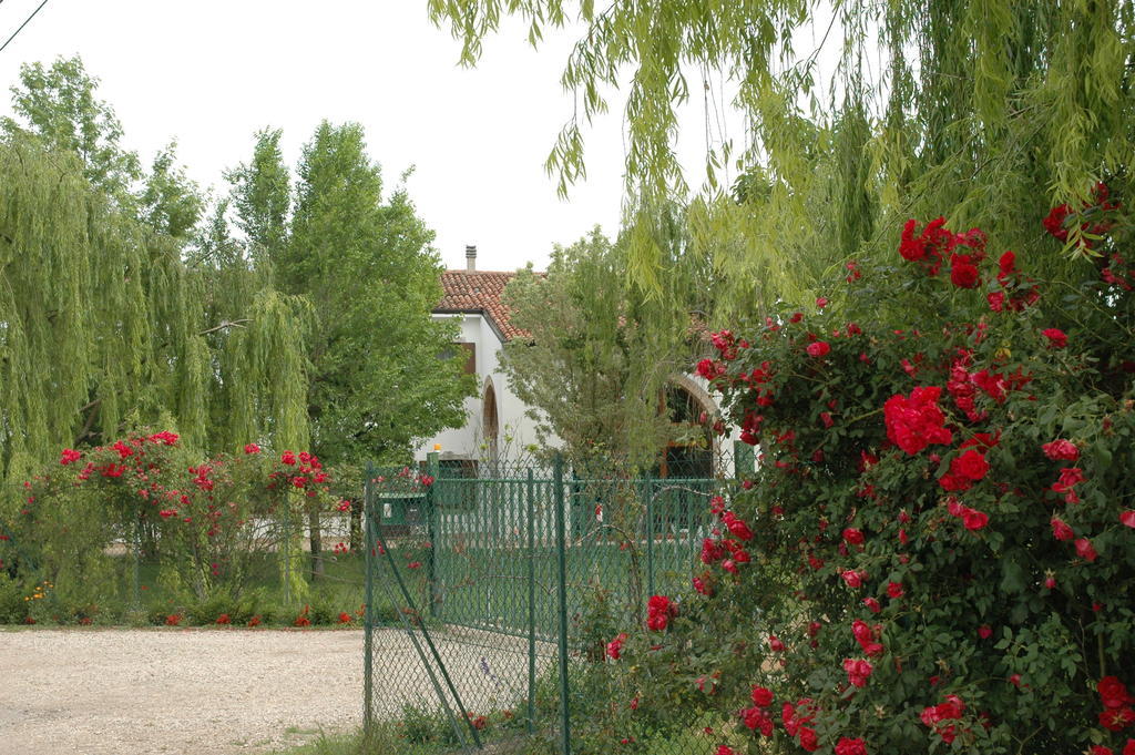 Rose Rosse Bed & Breakfast Cadi David Exterior foto