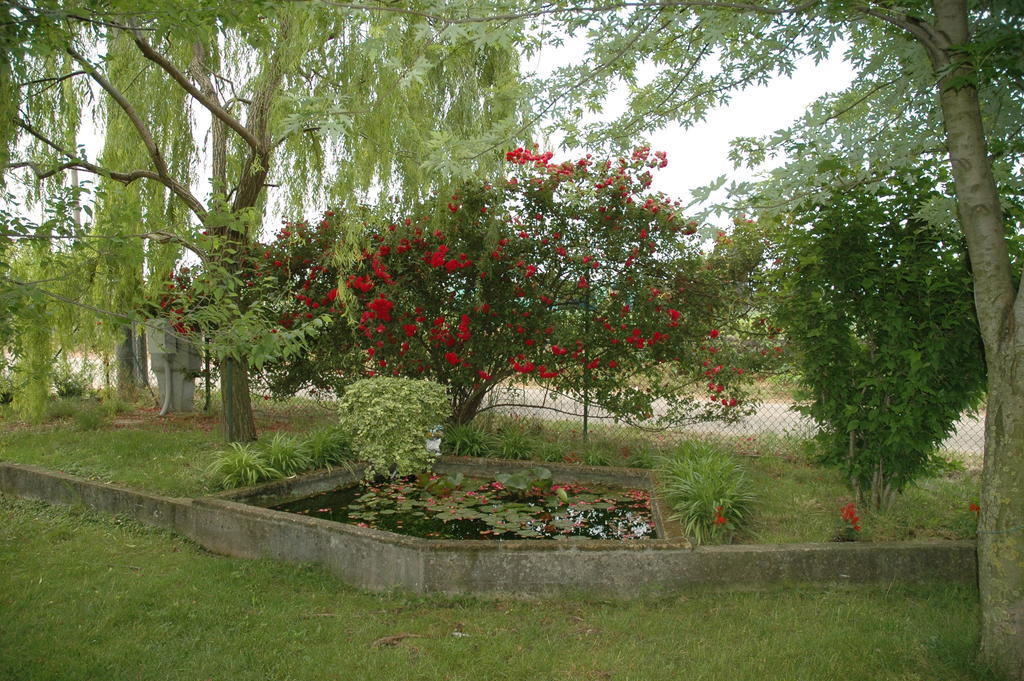 Rose Rosse Bed & Breakfast Cadi David Exterior foto